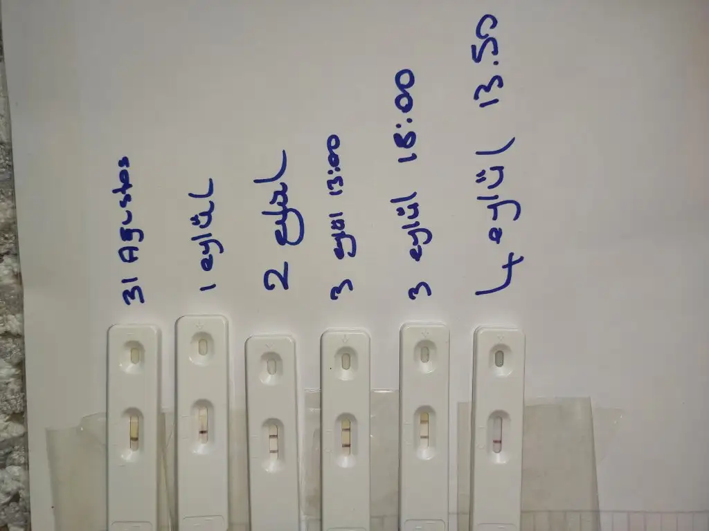 IMG_20210904_134342.webp