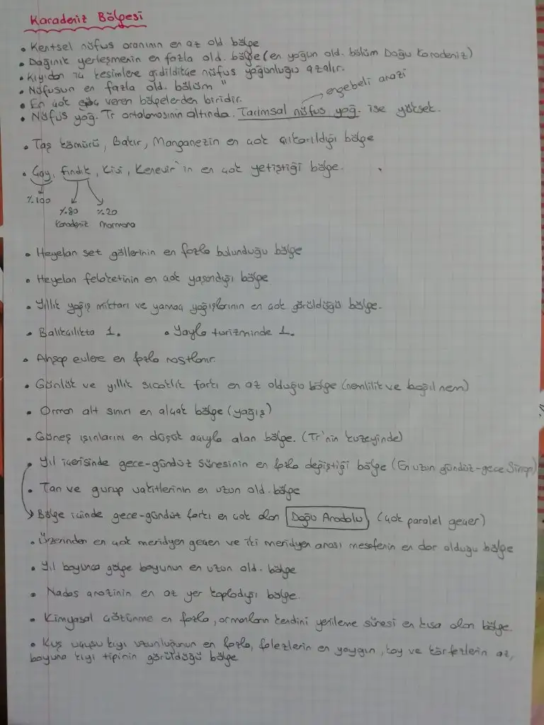 IMG_20211119_001927.webp