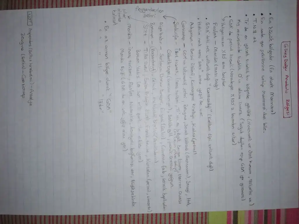 IMG_20211201_012805.webp