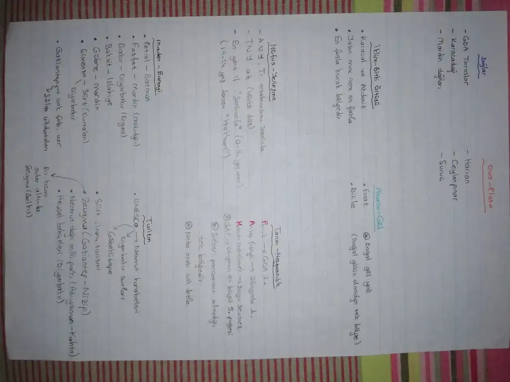 IMG_20211201_012816.webp