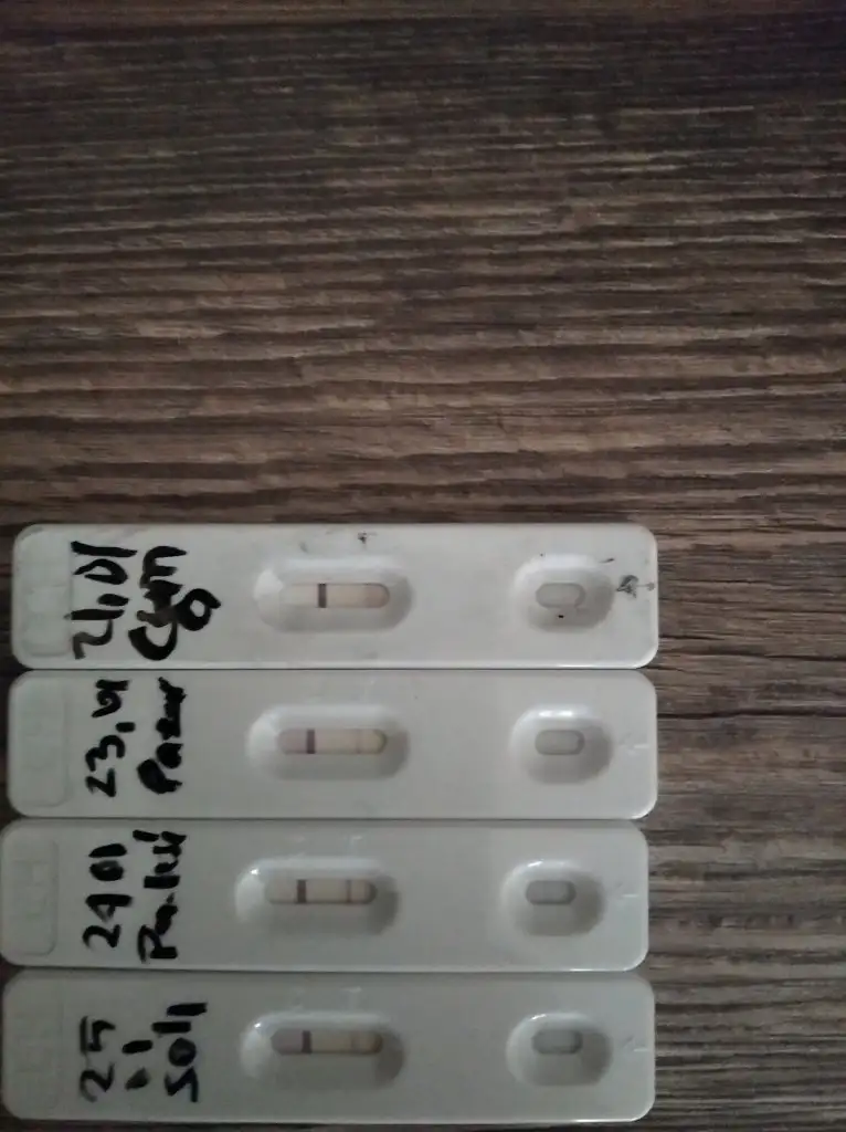 IMG_20220126_085817.webp