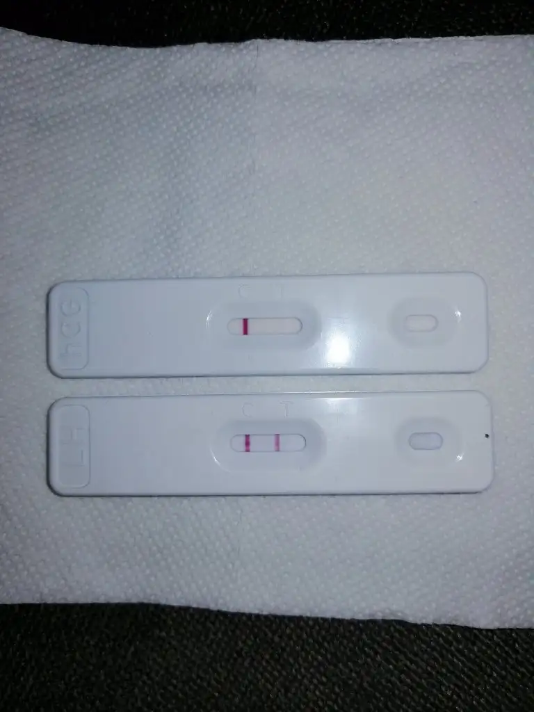 IMG_20220419_142528.webp