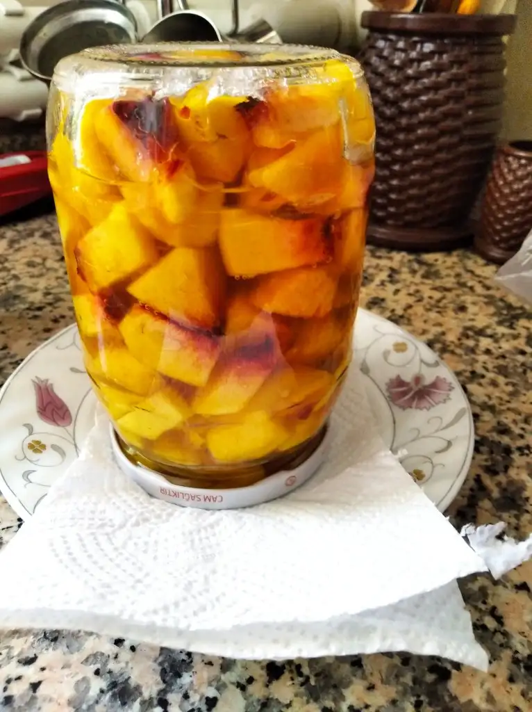 IMG_20220829_141812.webp