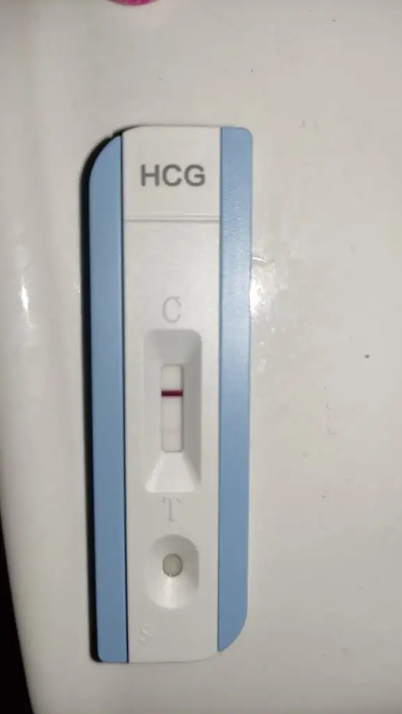 IMG_20221007_074526.webp