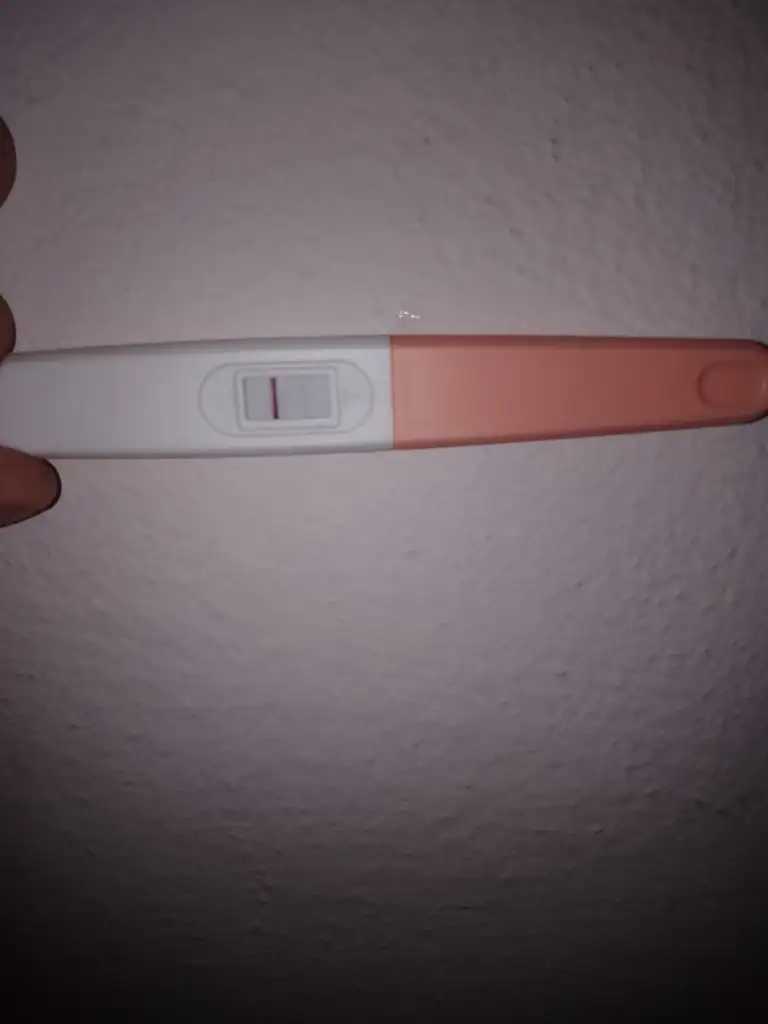 IMG_20230813_215637.webp