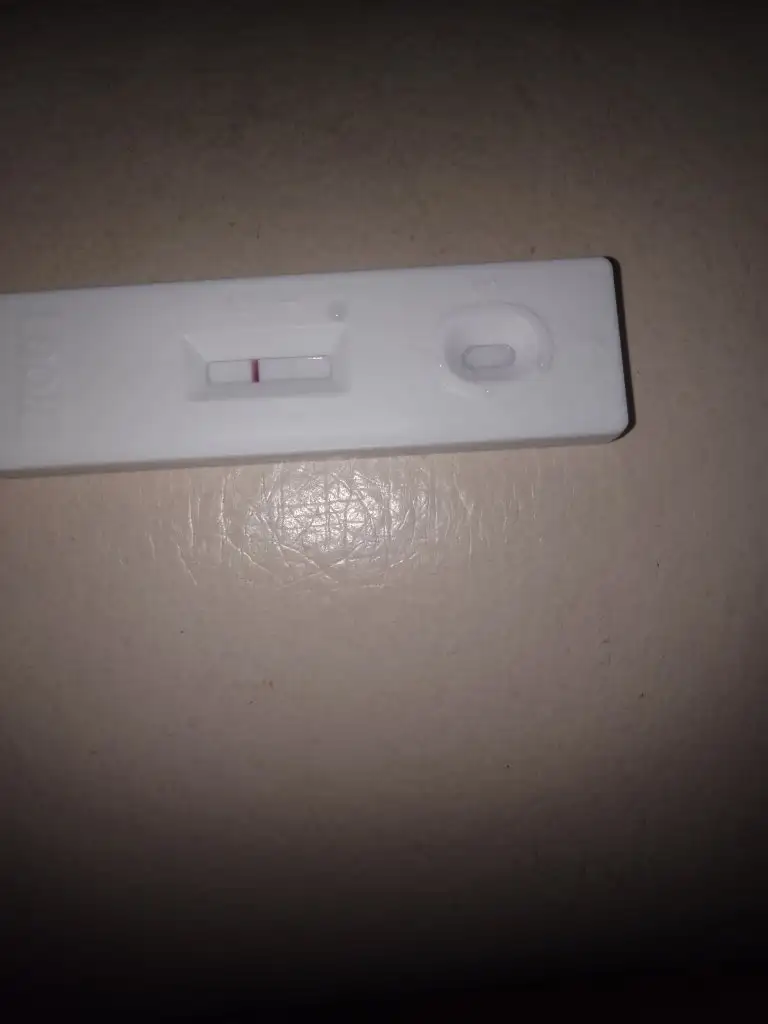 IMG_20230814_223749.webp