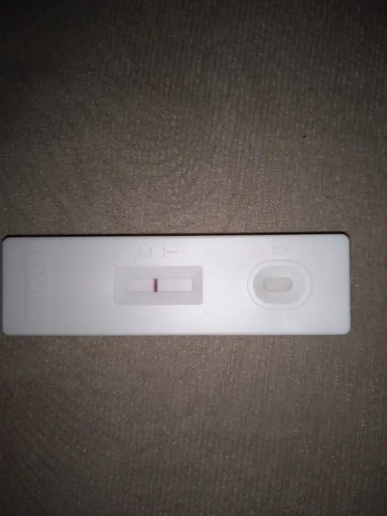IMG_20231013_081726.webp