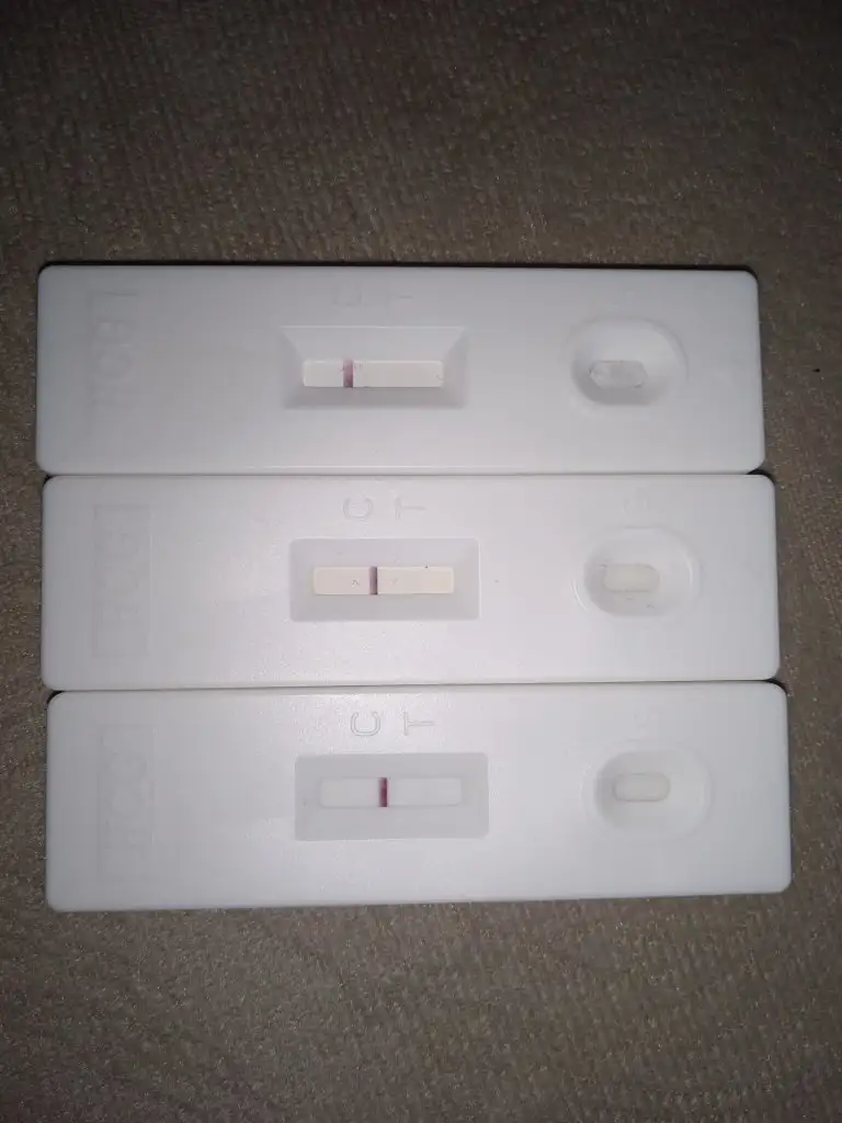IMG_20231013_083303.webp
