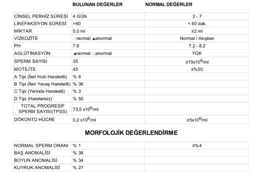 IMG_20231219_190247.webp