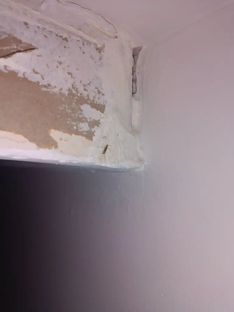 IMG_20231226_133001.webp