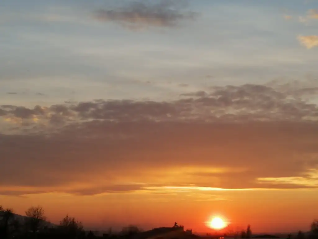 IMG_20240324_191329.webp
