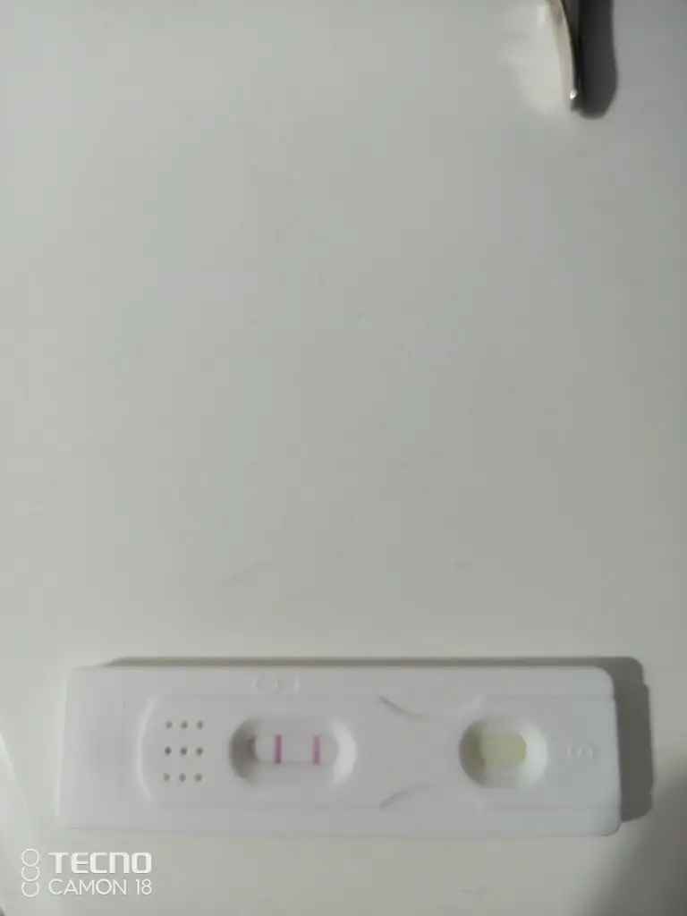 IMG_20240910_183043_947.webp
