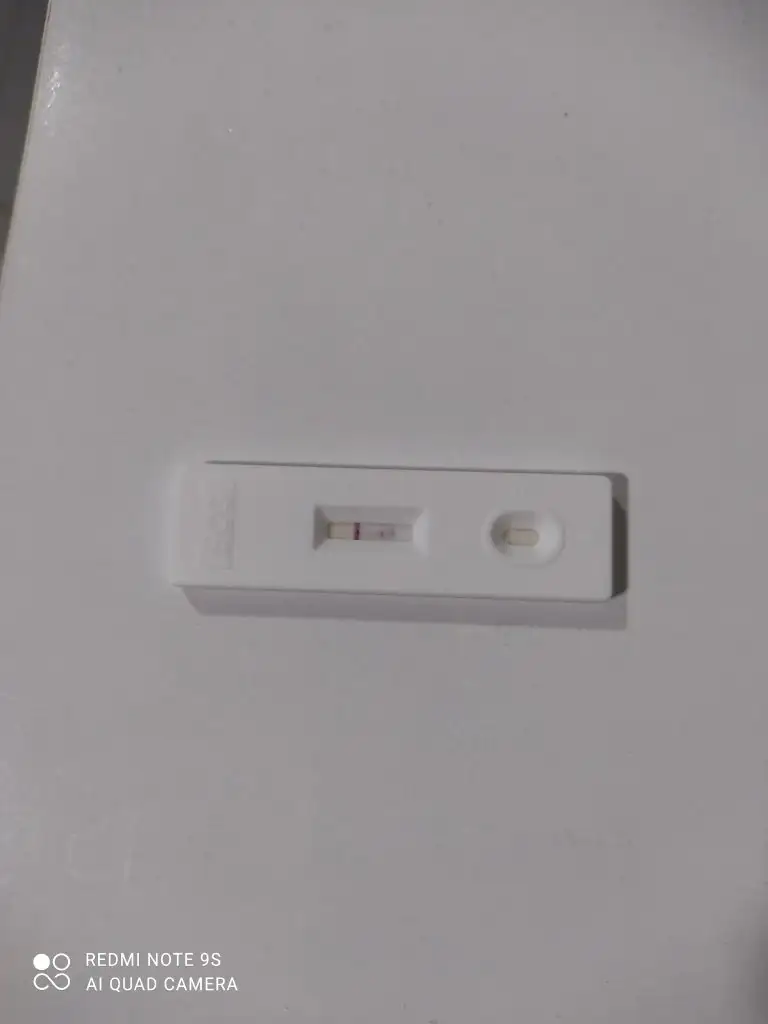 IMG_20241010_194020.webp