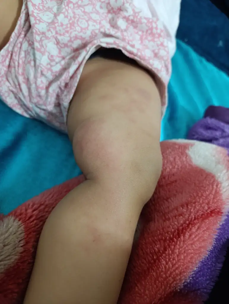 IMG_20250514_221621.webp