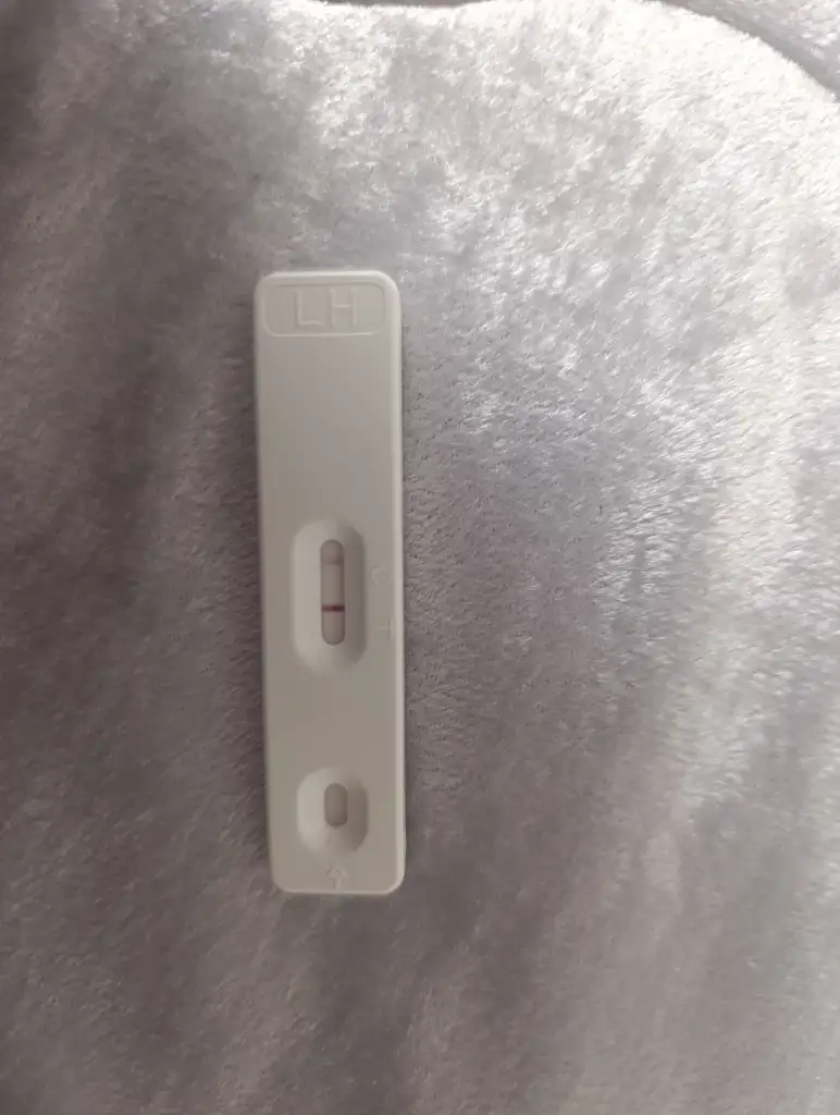 IMG_20250519_132254.webp