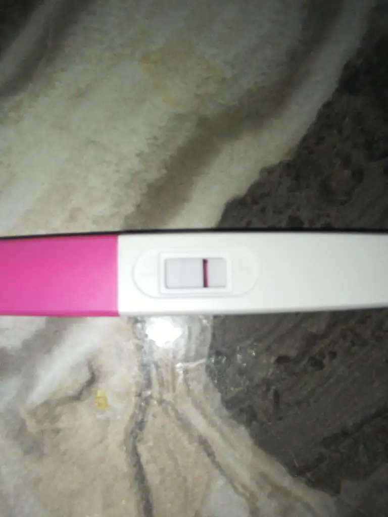 IMG_20250805_123202.webp
