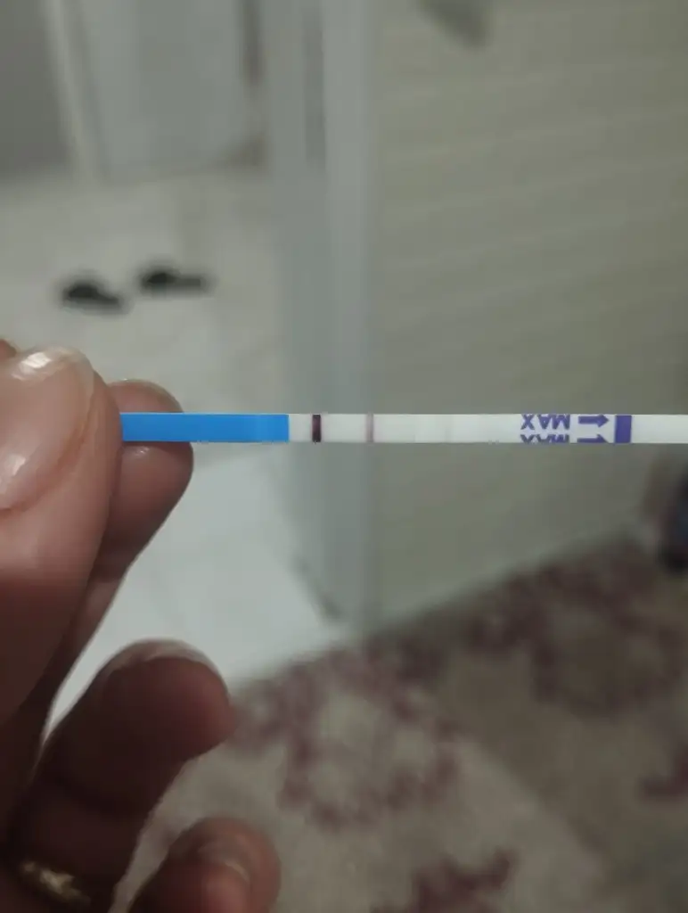 IMG_20251210_072234.webp