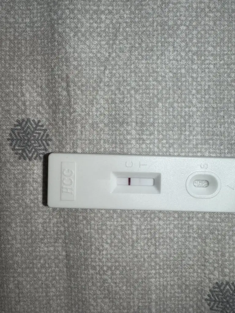 IMG_2030.webp