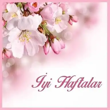IMG_2031.webp