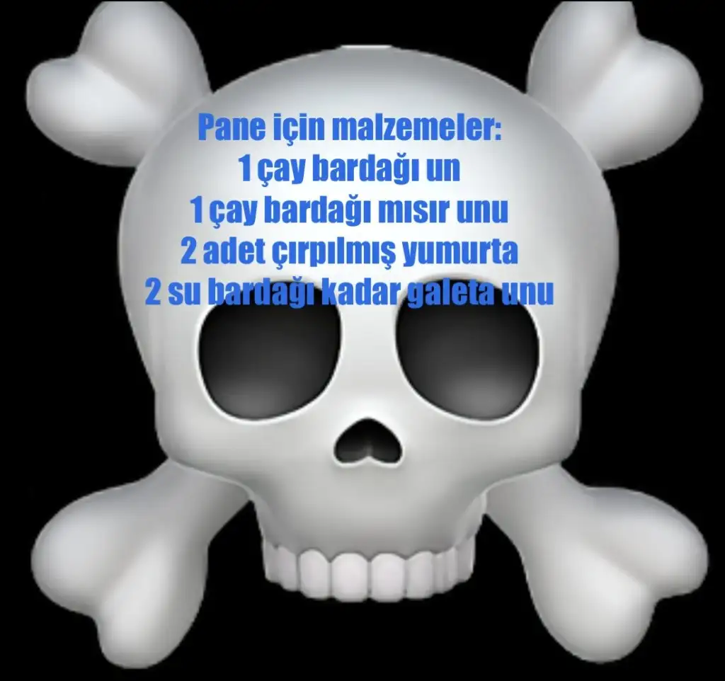 IMG_2812.jpeg