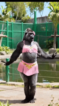 IMG_2934.gif