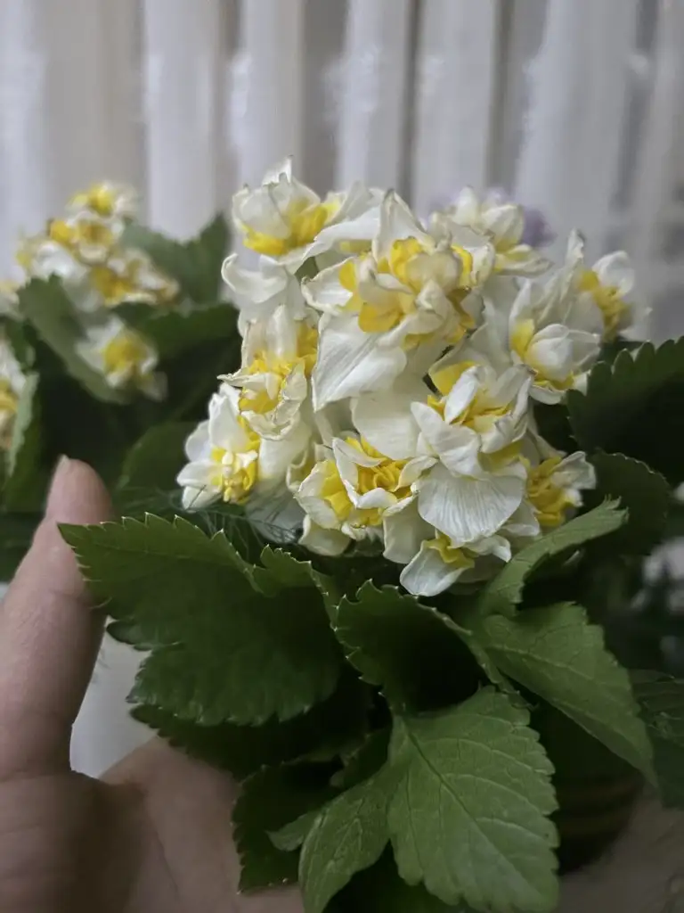 IMG_3328.webp