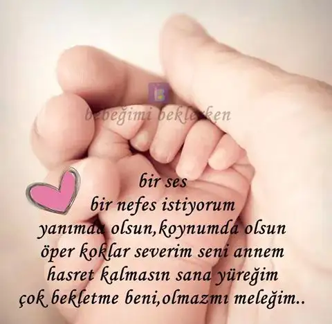 IMG_35953567340130.webp