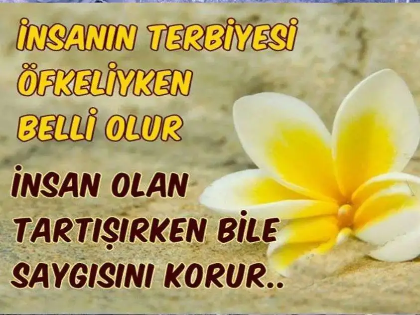 IMG_38350331371929.webp