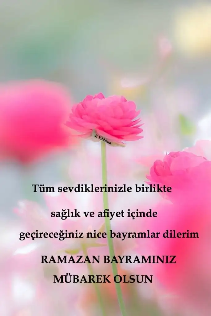 IMG_3883.webp