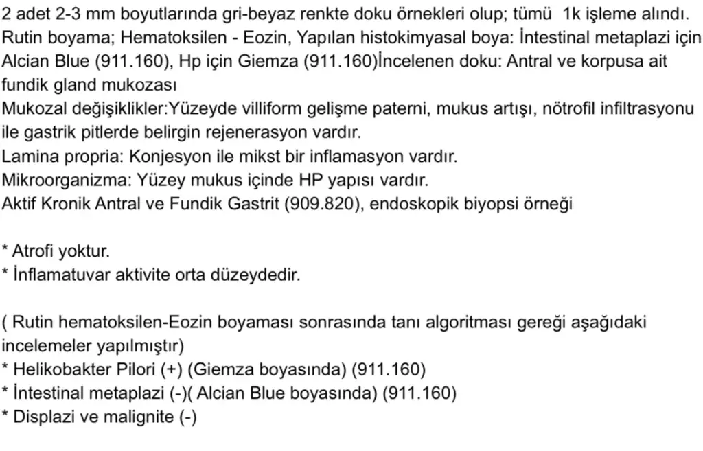 IMG_4242.webp