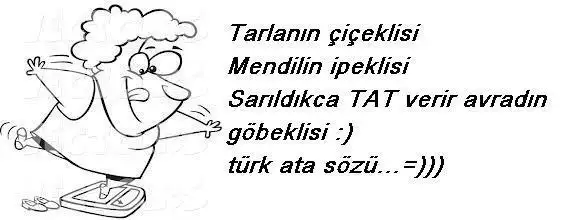 IMG_5529.webp