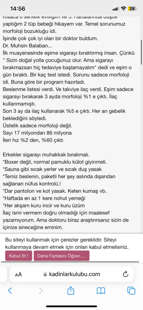 IMG_6198.webp