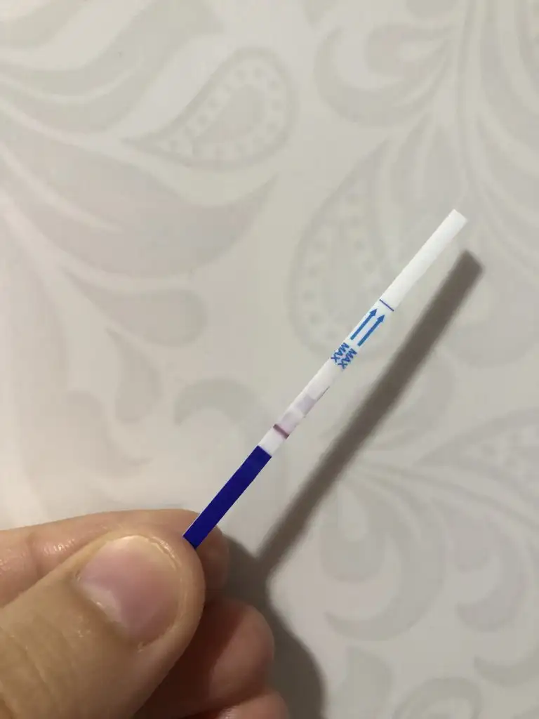 IMG_6212.jpeg