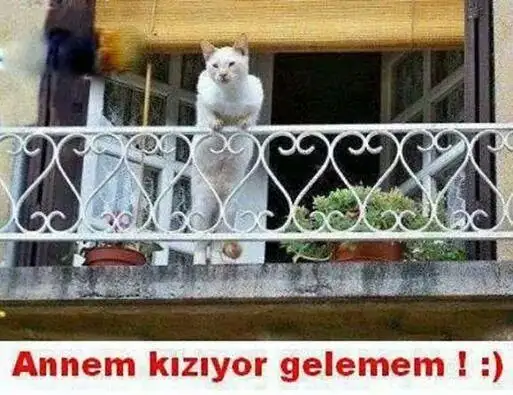 IMG_6706614406015.webp