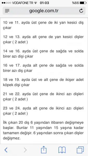 IMG_7564.webp