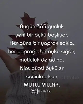 IMG_7666.webp