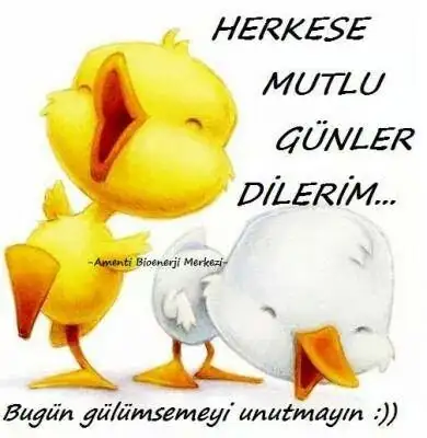 IMG_80857932899119.webp