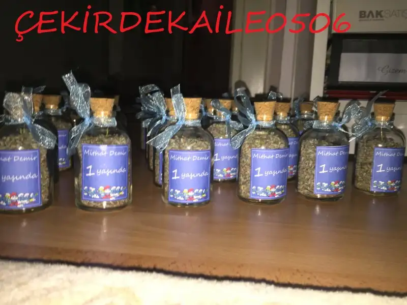 IMG_8528.webp