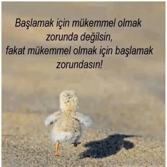 IMG_9443.webp