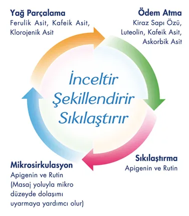 inceltici.webp