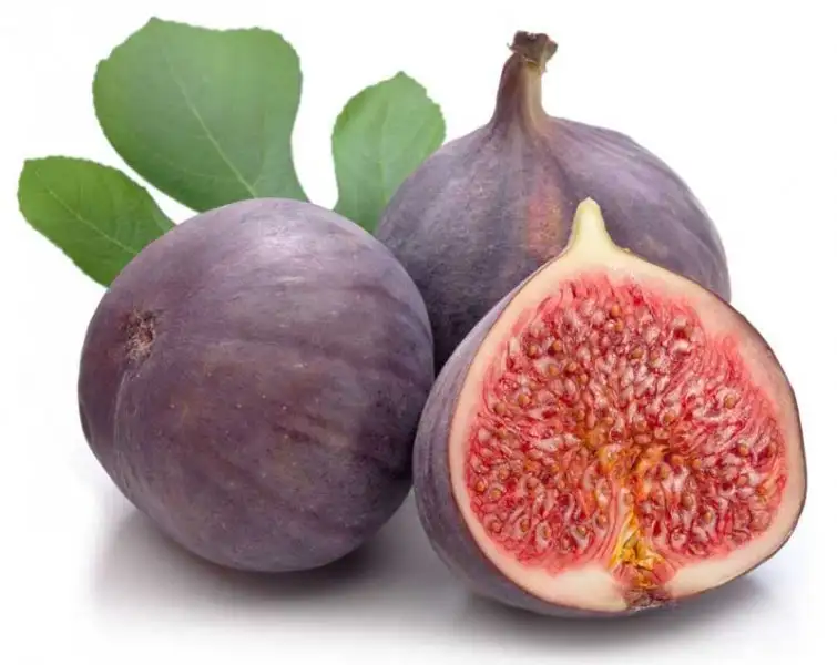 incir-cekirdegi-yagi-faydalari.webp