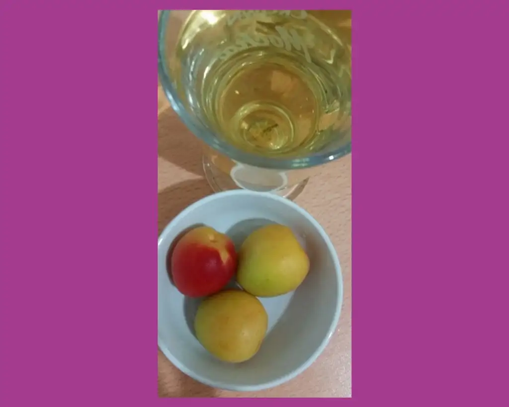 inCollage_20220727_235522703.webp