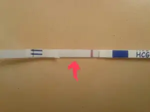 index-1.webp