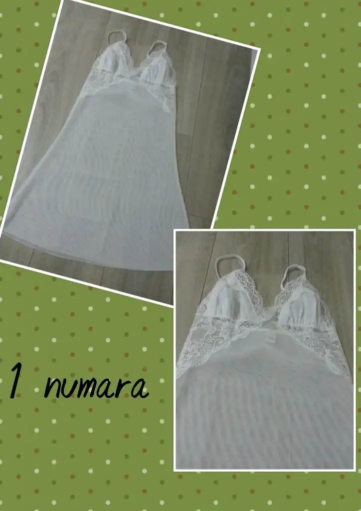 index-17.webp