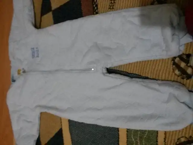 index-20.webp