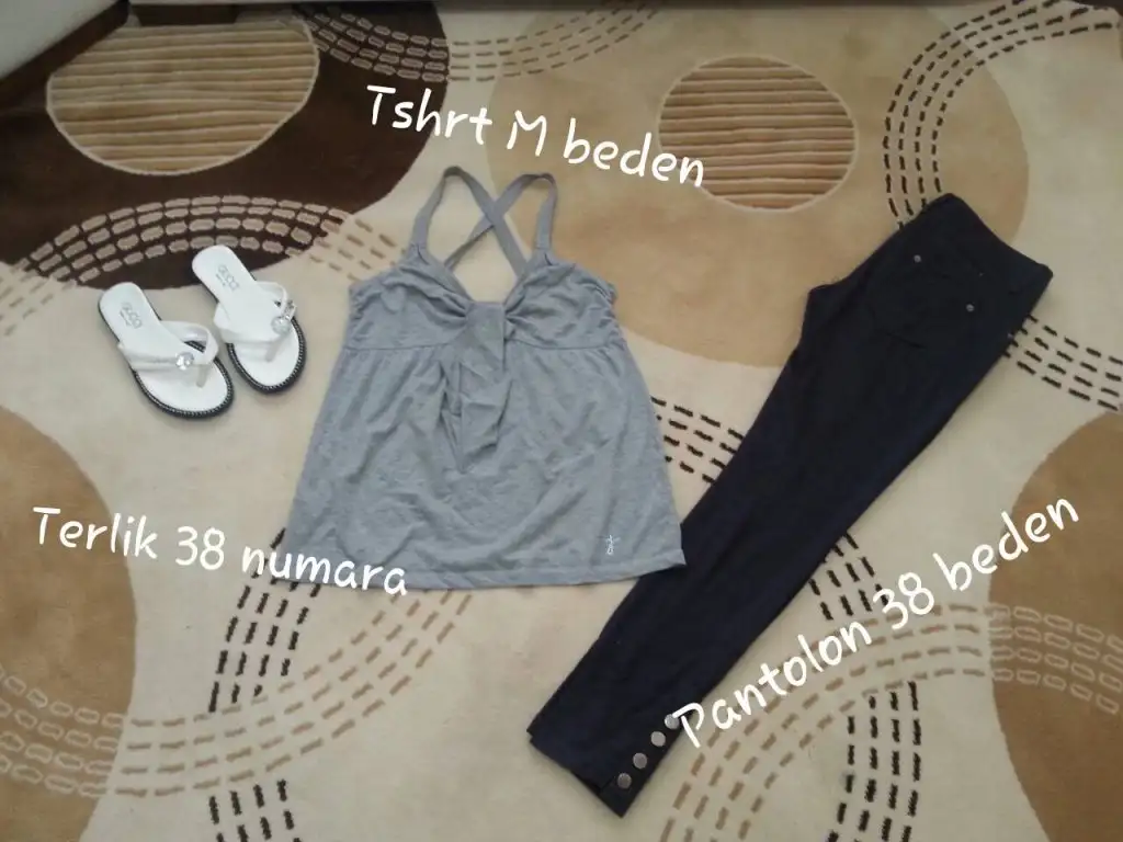 index-24.webp