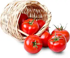 index.webp