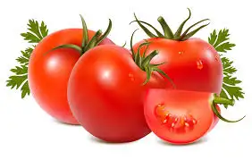 index.webp