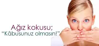 index.webp