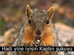 indir (1).webp